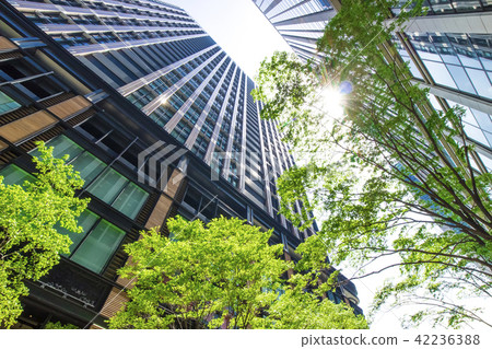 Landscape of the office area with green Landscape of the office area with green 42236388