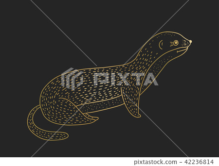 Outline vector golden weasel icon on a black background. Outline vector golden weasel icon on a black background. 42236814