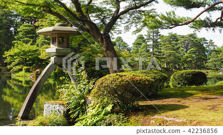 金澤Kenrokuen Kasumigauri池塘 42236856