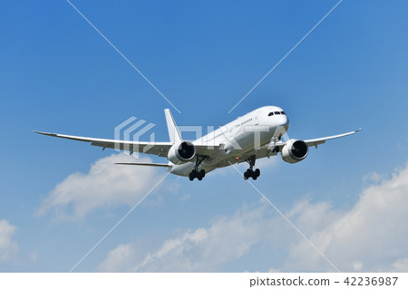 飛機著陸 飛機著陸 42236987
