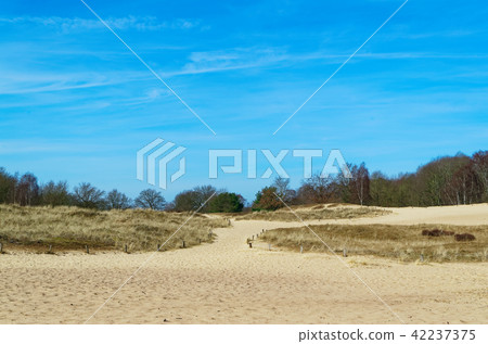 Sandy dunes against blue sky, Hamburg, Germany Sandy dunes against blue sky, Hamburg, Germany 42237375