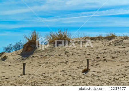 Sandy dunes against blue sky Sandy dunes against blue sky 42237377