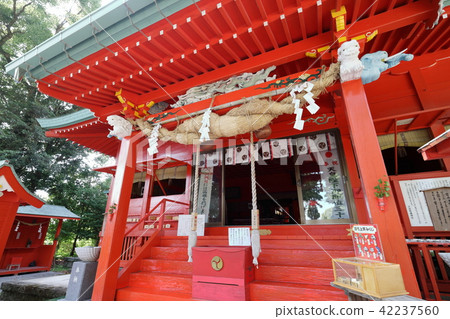 大宇聖母院 42237560