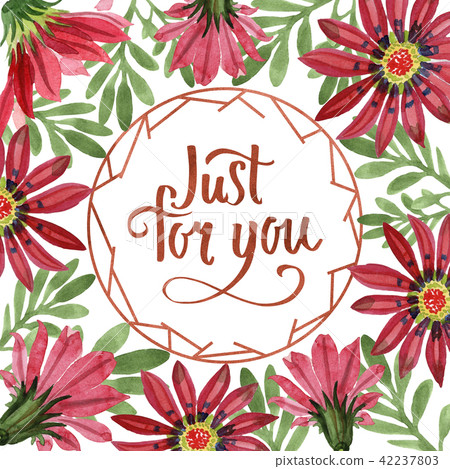 Red gazania flower. Floral botanical flower.Frame border ornament square. 42237803