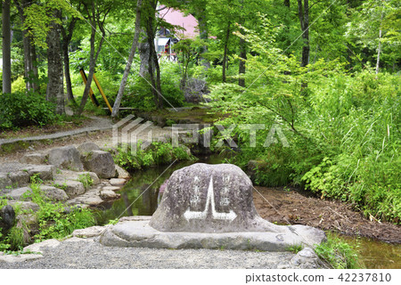 Division Park Hirugano Plateau(岐阜縣郡上市) Division Park Hirugano Plateau(岐阜縣郡上市) 42237810