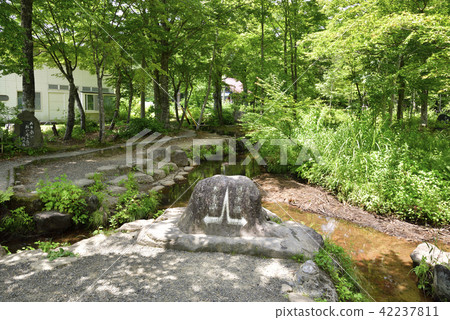 Division Park Hirugano Plateau（岐阜縣郡上市） 42237811