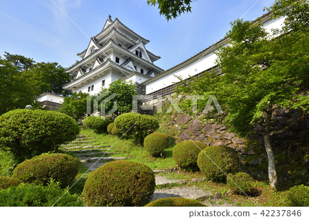 郡上八幡城（岐阜縣郡上市） 42237846
