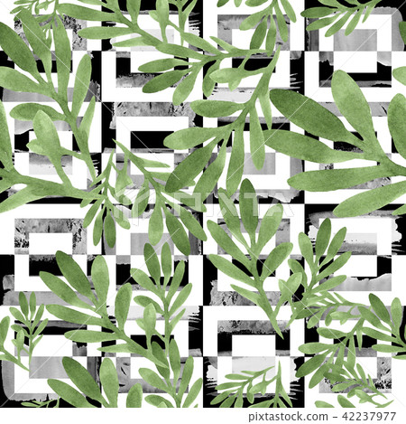Red gazania flower. Floral botanical flower. Seamless background pattern. Red gazania flower. Floral botanical flower. Seamless background pattern. 42237977