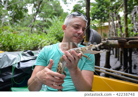 A man holds in hands a small crocodile 42238748