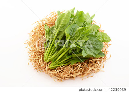 Fresh vegetables Fresh vegetables 42239089