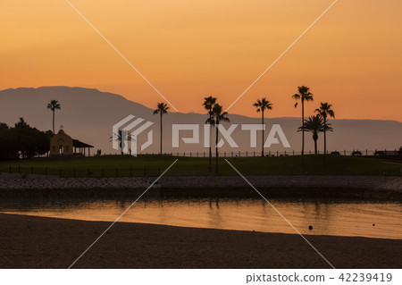 Tanoura海灘晚上風景 42239419