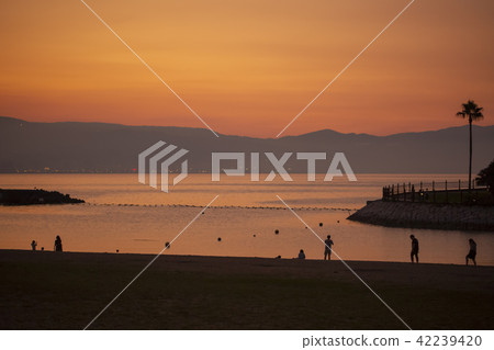 Tanoura海灘和別府灣日落美景 42239420