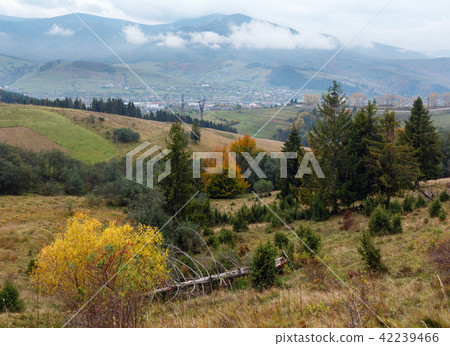 Autumn Carpathians (Ukraine). Autumn Carpathians (Ukraine). 42239466