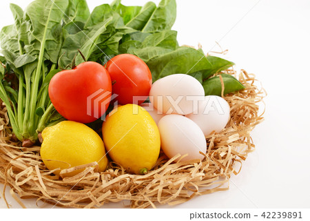 Fresh ingredients Fresh ingredients 42239891