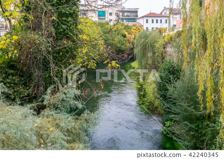 Scenic of treviso town with calnal scene Scenic of treviso town with calnal scene 42240345