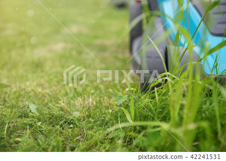 Lawn mower in the garden, grass and lawn 42241531