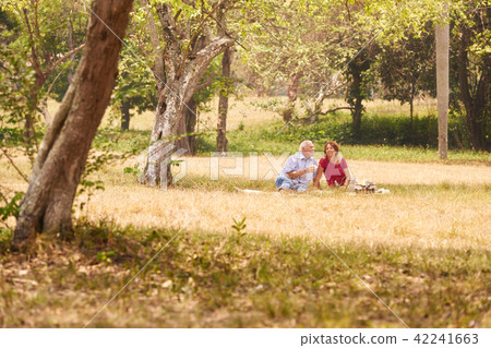Senior Couple Senior Man And Woman Doing Picnic Senior Couple Senior Man And Woman Doing Picnic 42241663