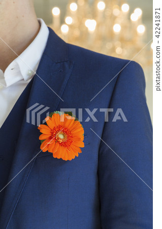 Groom with chrysanthemum boutonniere on wedding Groom with chrysanthemum boutonniere on wedding 42241871