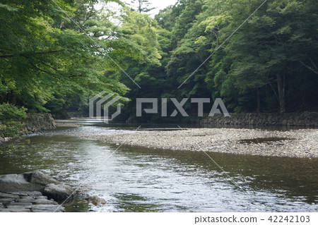 Isuzu River in Ise Shrine in the shrine 42242103