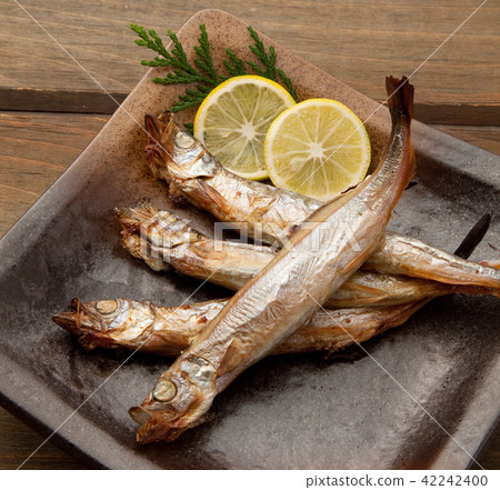 Children's shit 42242400