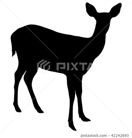 Silhouette of the deer on a white background 42242693