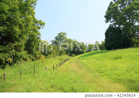 夏季公園 夏季公園 42243614