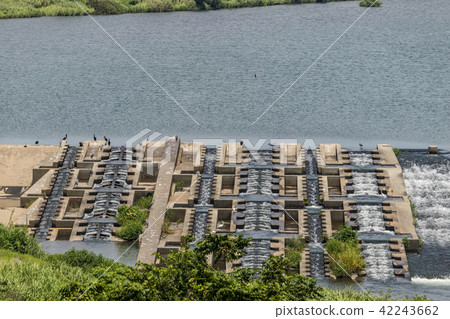 相模川的Samukawa進水壩的魚道 42243662