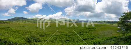 Kirigamine marsh (July sunny Hachijimagahara) 42243746