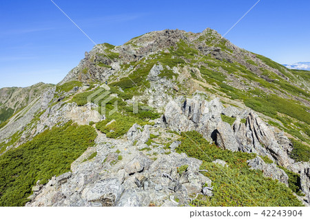 Summer mountain top 42243904