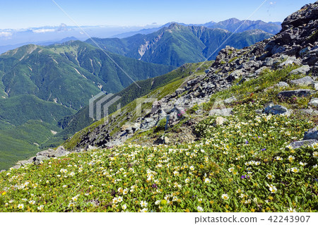 從野澤山的南阿爾卑斯山的景色 42243907