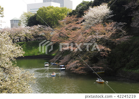 千鳥淵 千鳥淵 42245219
