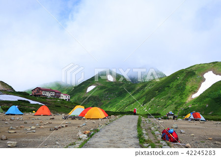 Summer Tateyama's Raichozawa Campsite Summer Tateyama's Raichozawa Campsite 42245283