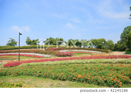 Summer park Hillside flower bed Summer park Hillside flower bed 42245286