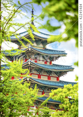首爾,韓國,紫禁城,景福宮 首爾,韓國,紫禁城,景福宮 42245484