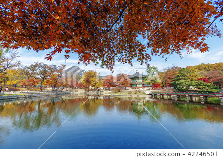 首爾，韓國，紫禁城，景福宮 42246501