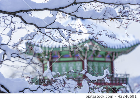 首爾，韓國，紫禁城，景福宮 42246691