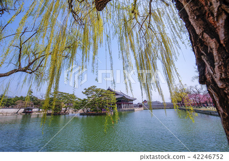 Seoul, Korea, Forbidden City, Gyeongbok Palace 42246752