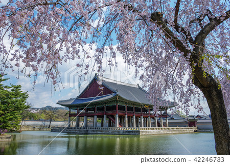 首爾，韓國，紫禁城，景福宮 42246783