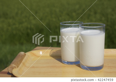 Drinking yogurt Drinking yogurt 42247459