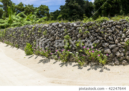 Taketomi-jima of the Yaeyama Islands 42247644