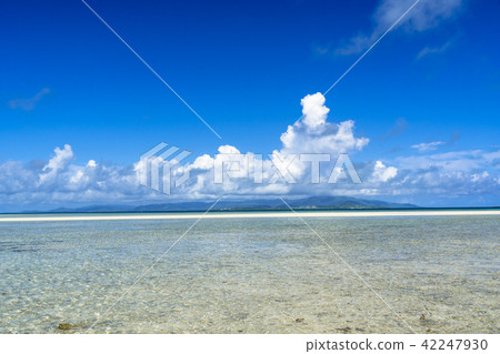 竹富島的康多海灘 42247930