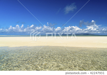 Condoi Beach in Taketomijima 42247931