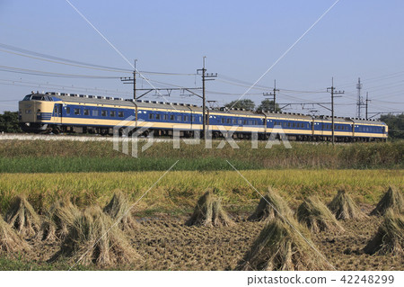 Waku Dream using series 583 42248299