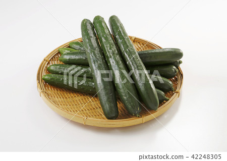 Cucumber 42248305