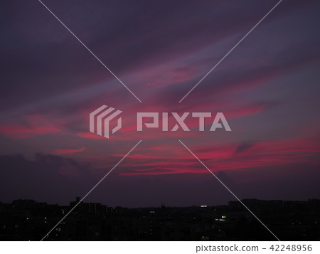 餘輝 餘輝 42248956