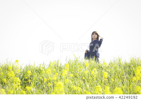 上學的女學生 上學的女學生 42249192