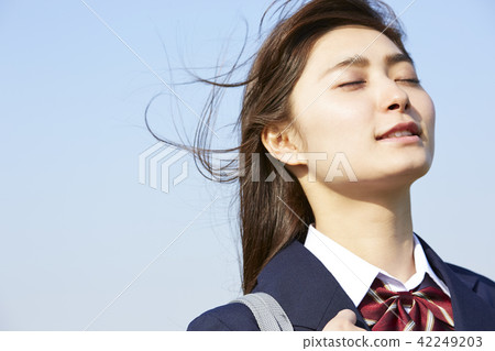 School girls going to school 42249203