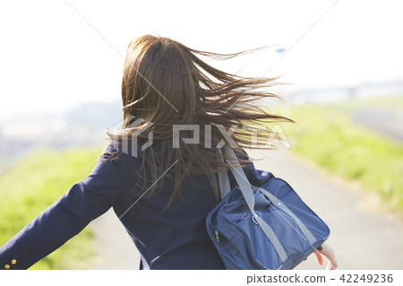 School girls going to school School girls going to school 42249236
