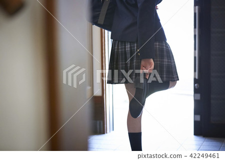 School girls going to school 42249461