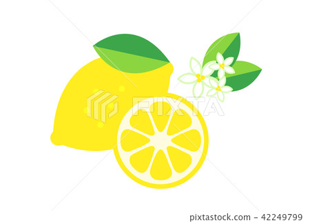 Lemon  42249799